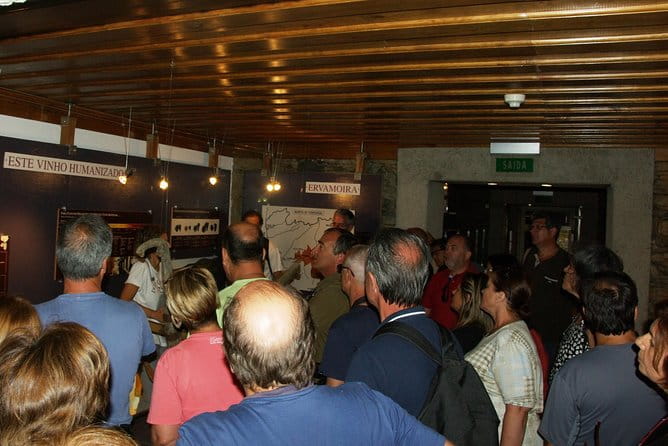 Upper Douro Walk & WineTour - Who This Tour Is Perfect For