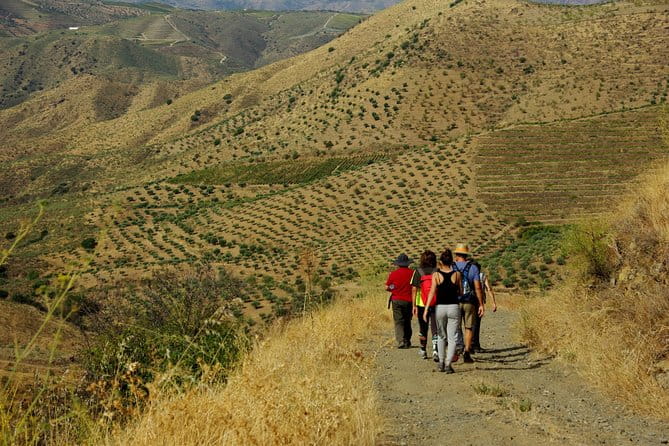 Upper Douro Walk & WineTour - Final Thoughts