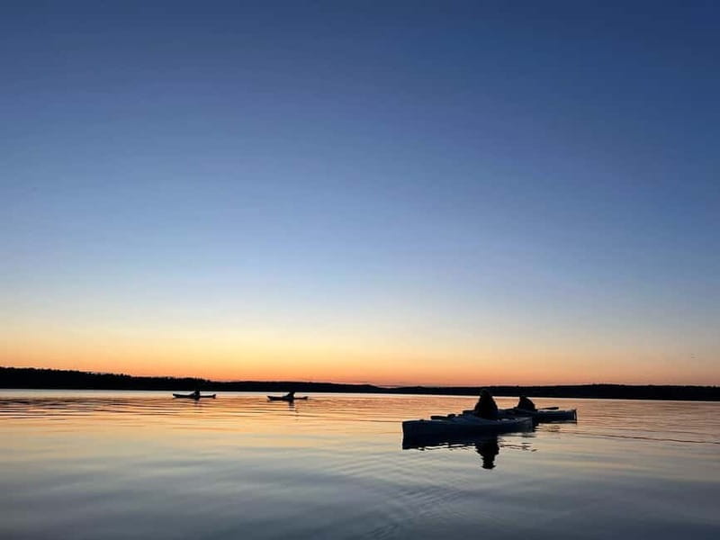 Uppsala: Canadian Canoe Rental - An Authentic Way to See Uppsalas Natural Beauty