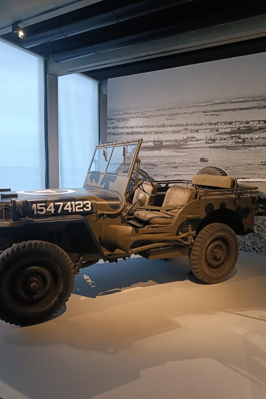 USDDAY Experience Tour - Tour Guide Qualifications