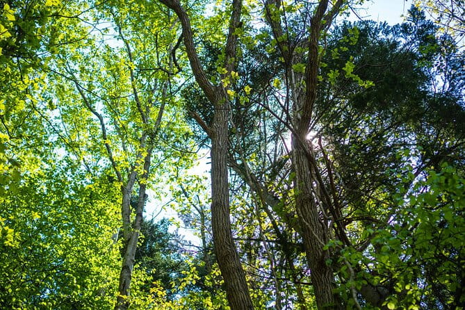 Usuzan Volcano Guided Hiking Private Tour - Hiking the Scenic Trails