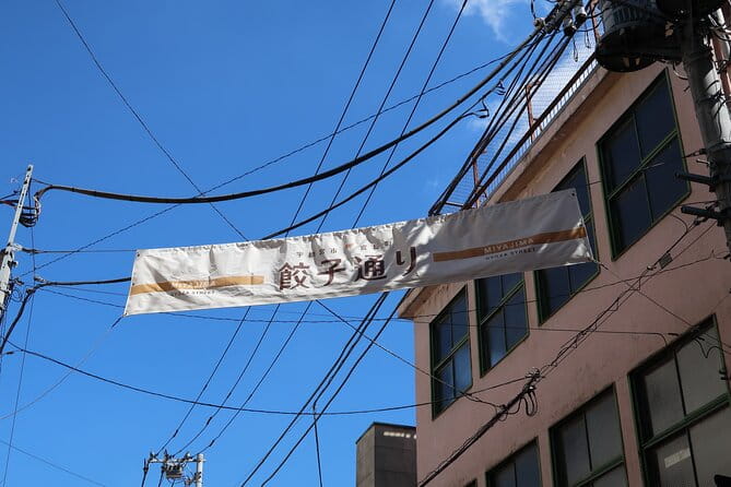 Utsunomiya Gyoza (Dumpling) Eating Tour - Tips for Participants