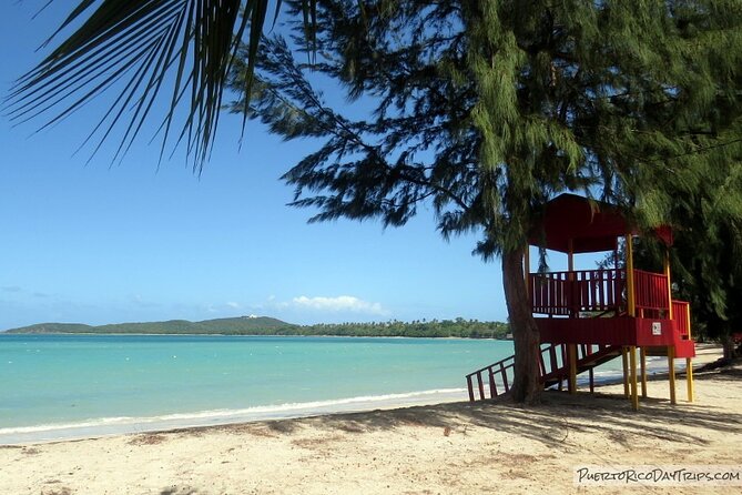 UTV and Can-Am Sightseeing Tours in Puerto Rico - Pricing and Guarantees