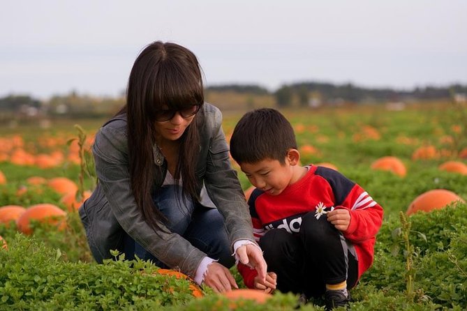 Vacation Photographer in Victoria, Canada - Location and Meeting Point
