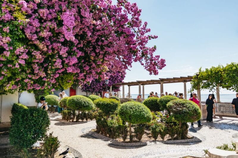 Vadio: Lisbon Old Town Private Tuk Tuk Tour - What to Expect from the Itinerary