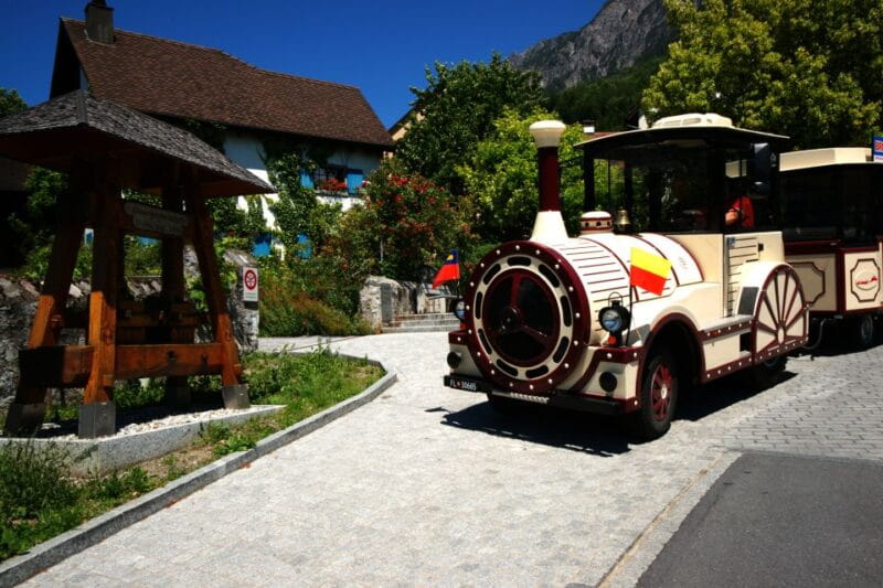 Vaduz: City Train Tour - FAQs