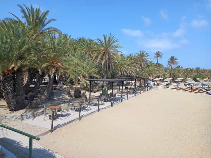 Vai Palm Beach Full Day Private Tour - Key points / Takeaways