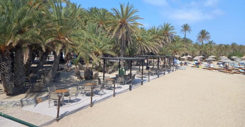 Vai Palm Beach Full Day Private Tour - The Allure of Private Crete Beach Tours