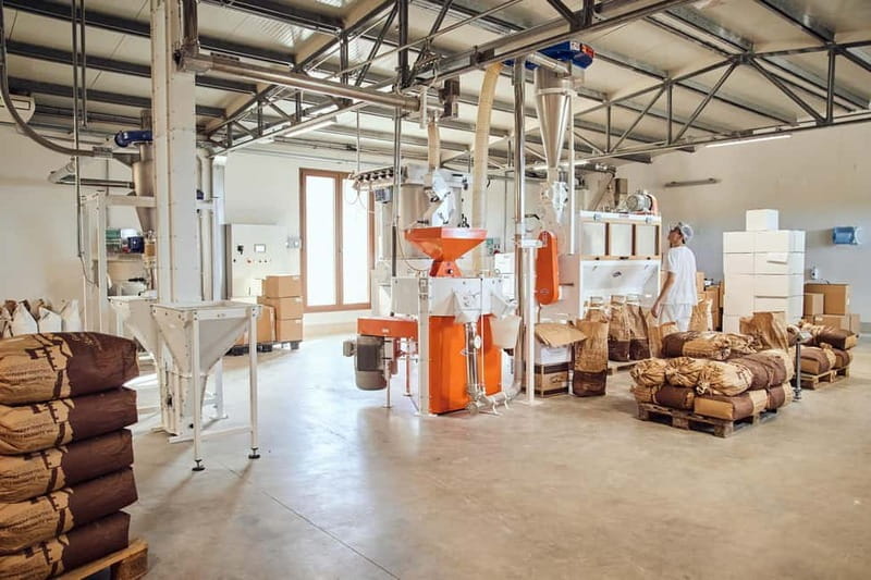 Val d'Orcia: Mill and Pasta Factory Tour with Tasting Lunch - Watching Pasta Come to Life