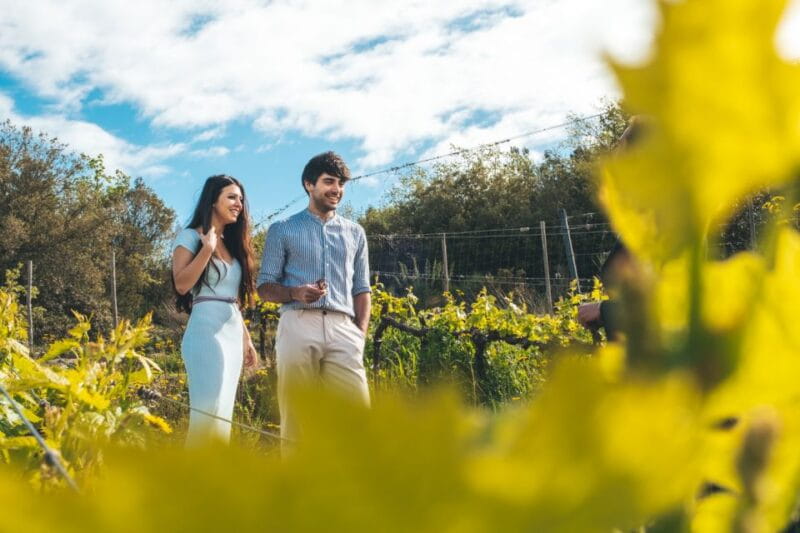 Val d'Orcia: Wine and Food Tasting at a Podere - The Itinerary in Detail: What You Can Expect