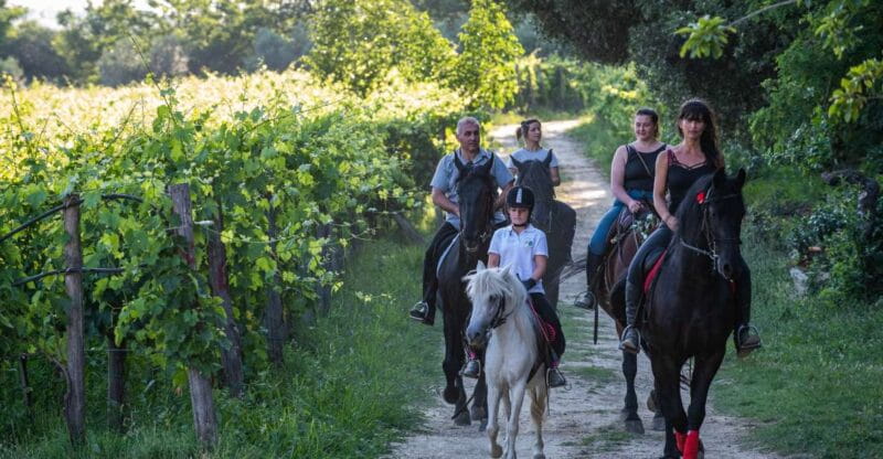 Valdichiana: Horseback Riding Tour with Tuscan Picnic - Key Points / Takeaways