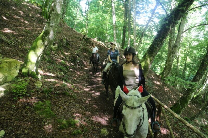 Valdichiana: Horseback Riding Tour with Tuscan Picnic - Who This Tour Suits Best