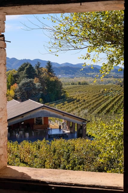 Valdobbiadene: Bike rental and Prosecco tasting - Exploring the Prosecco Hills by E-bike: A Closer Look