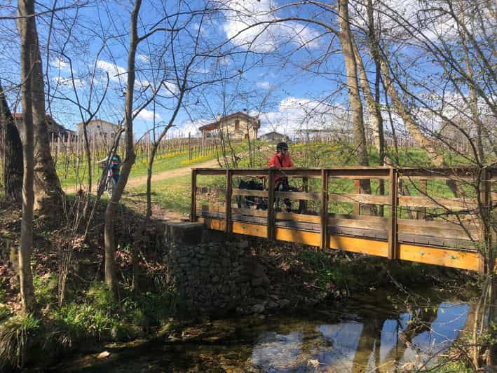 Valdobbiadene: Bike rental and Prosecco tasting - Who This Experience Suits Best