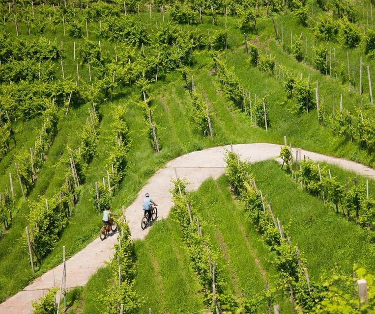 Valdobbiadene: e-bike Tour on the Prosecco Hills - Price and Value: Is it Worth It?