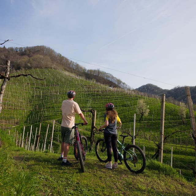 Valdobbiadene: e-bike Tour on the Prosecco Hills - Final Thoughts: Why This Tour Is Worth It