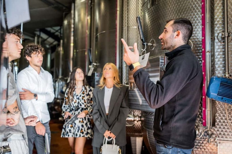 Valdobbiadene Guided tour of the winery & Tasting of 4 Wines - Key points / Takeaways