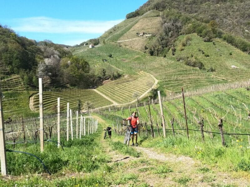 Valdobbiadene - Prosecco Hills Cycling with Sommelier - FAQ
