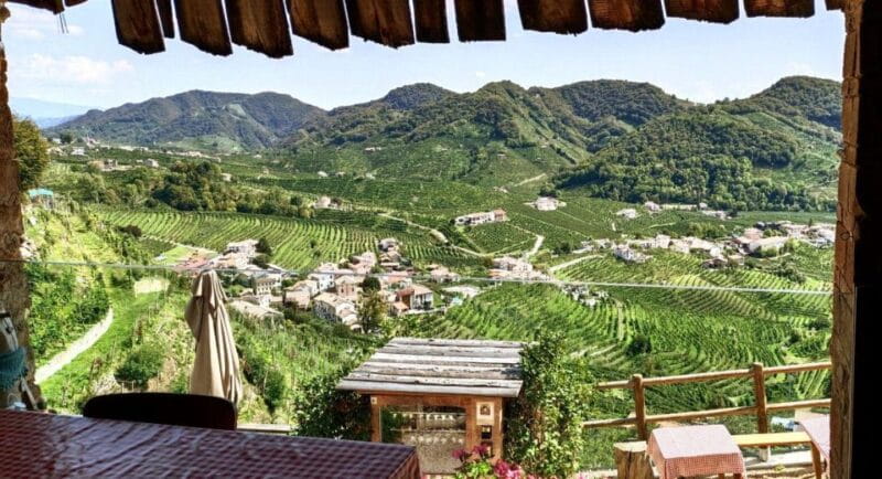 Valdobbiadene: Prosecco private tour & taste with Sommelier - Who Should Consider This Tour?