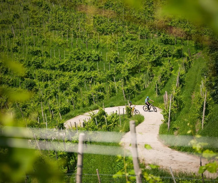 Valdobbiadene: self-guided e-bike tour in the Prosecco Hills - Exploring the Scenic Prosecco Hills on Two Wheels