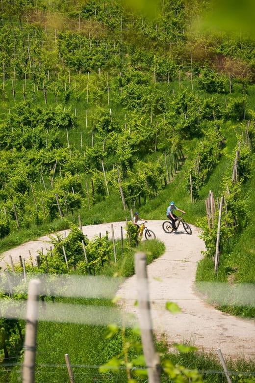 Valdobbiadene: self-guided e-bike tour in the Prosecco Hills - Who This Tour Is Best For