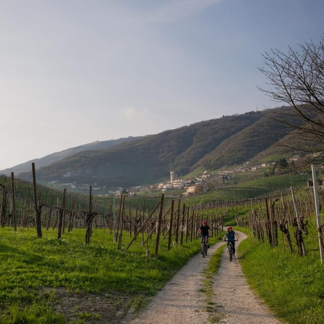Valdobbiadene: self-guided e-bike tour in the Prosecco Hills - The Sum Up