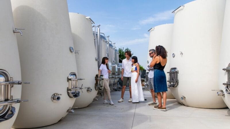 Valdobbiadene:Prosecco tasting,appetizers,winery & vineyard - Key points / Takeaways