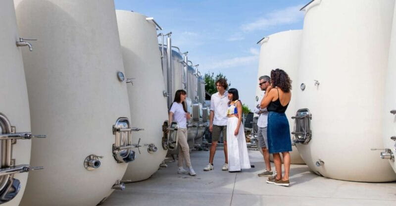 Valdobbiadene:Prosecco tasting,appetizers,winery & vineyard - An In-Depth Look at the Valdobbiadene Prosecco Experience