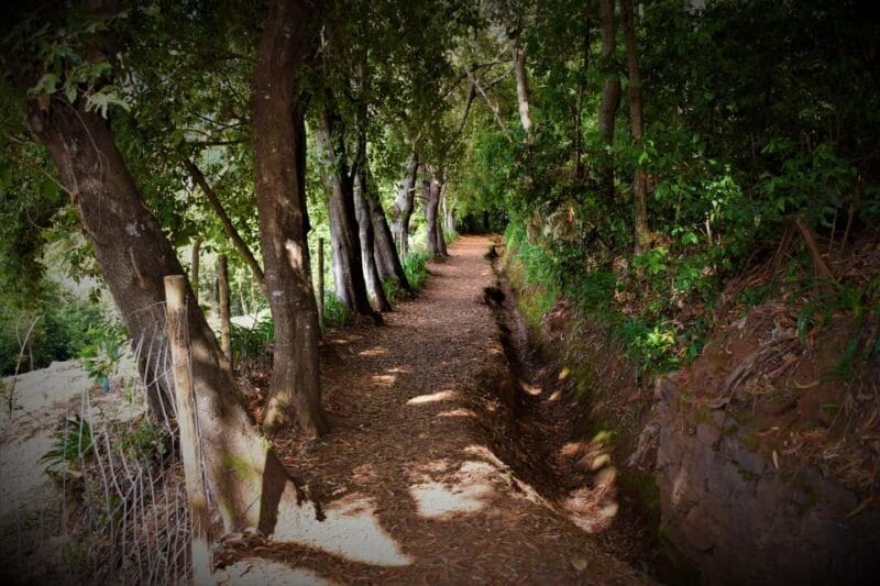 Vale Paraíso Rochão Madeira Island Walk - Who Would Love This Experience?
