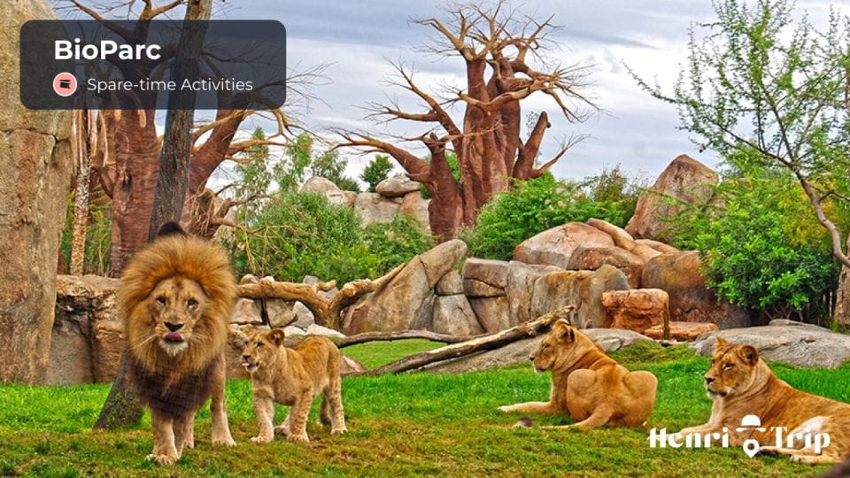 Valence : the Ultime Digital Guide - Integrated GPS and Digital Map Navigation