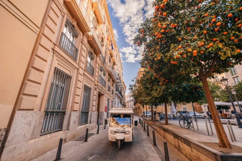 Valencia 1 hour by TukTuki: Essential and Private Tour - Price and Logistics: Good Value for a Quick City Peek