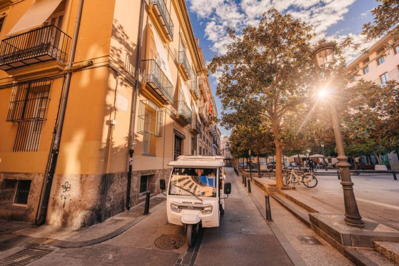 Valencia: 2-hour City Highlights Guided Tuk-Tuk Tour - Key points / Takeaways