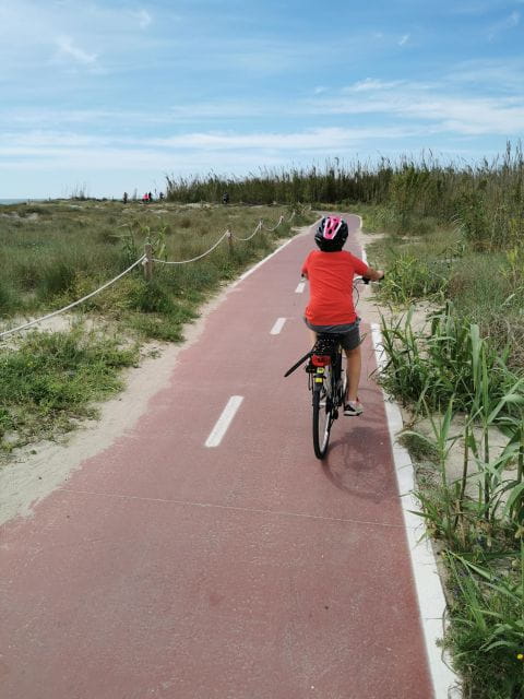 Valencia: Albufera Natural Park Bike and Boat Tour - Itinerary and Activities