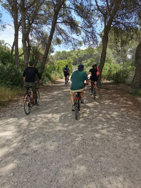 Valencia: Albufera Natural Park Bike and Boat Tour - Things To Know