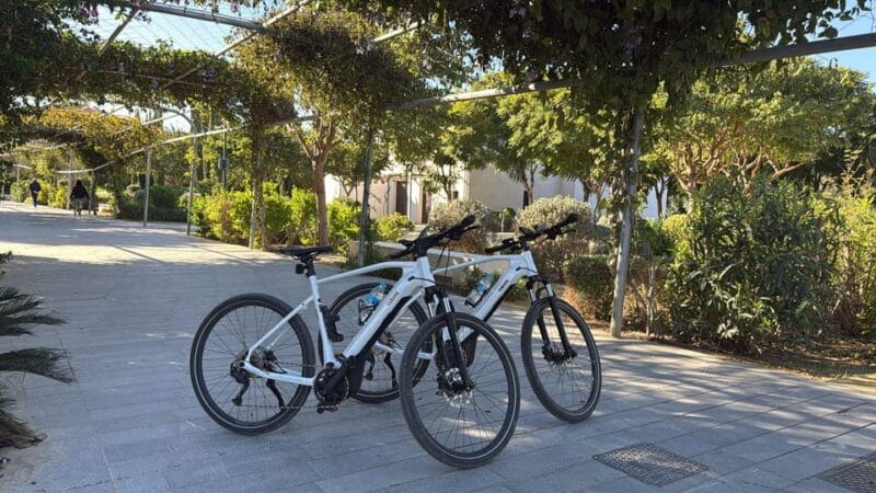 Valencia all in one: beaches, old town & city arts by E-bike - Key Points / Takeaways