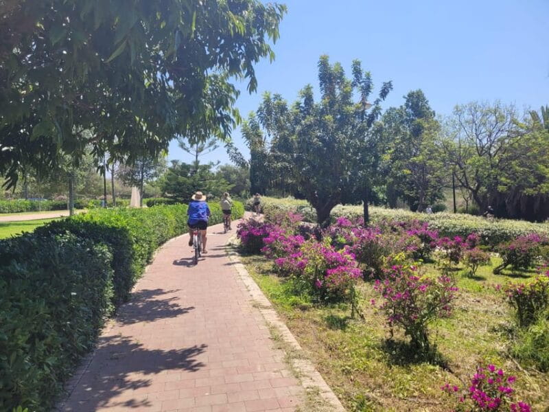 Valencia, Biketour of all the city with a local guide - Key Points / Takeaways