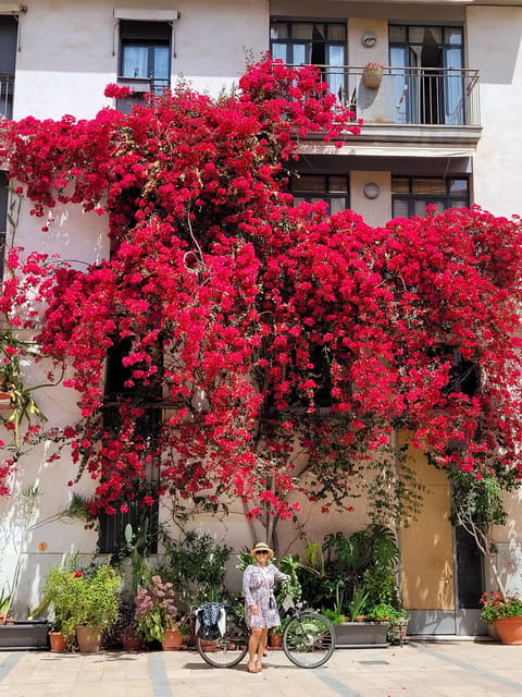 Valencia, Biketour of all the city with a local guide - FAQ