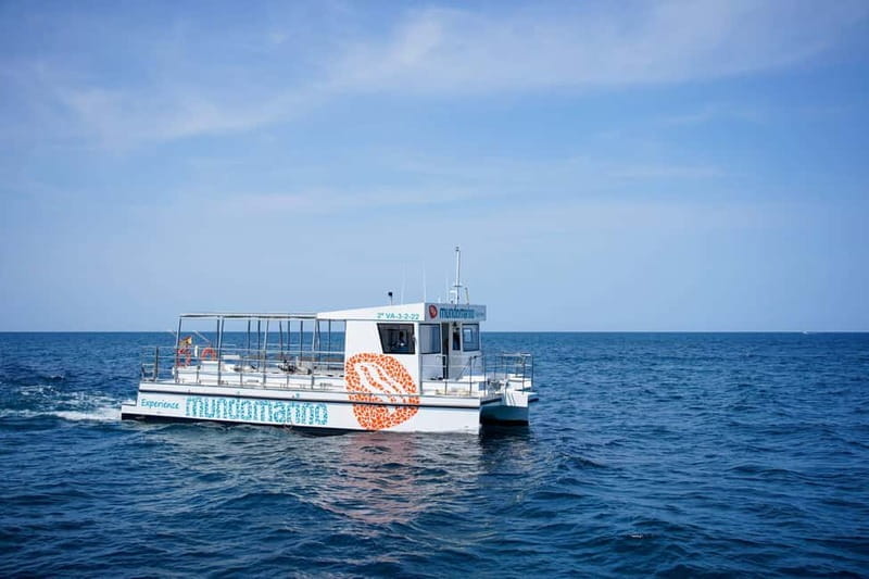 Valencia: Boat Tour with Swim Stop - Discovering Valencia from the Water: A Detailed Review