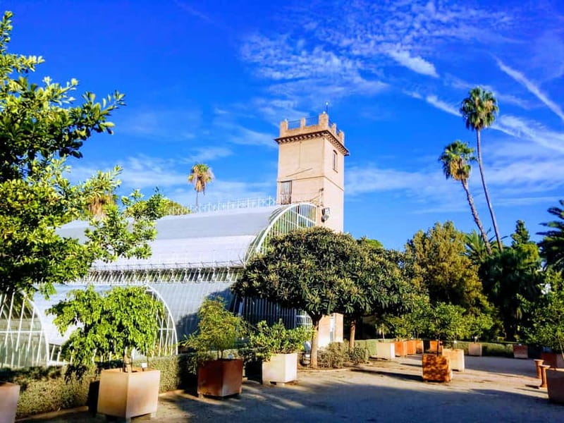 Valencia Botanical Garden Guided Tour - Key points / Takeaways