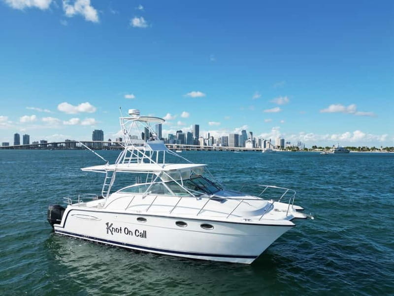 Valencia: Catamaran Boat Rental with Captain and Drinks - Key points / Takeaways