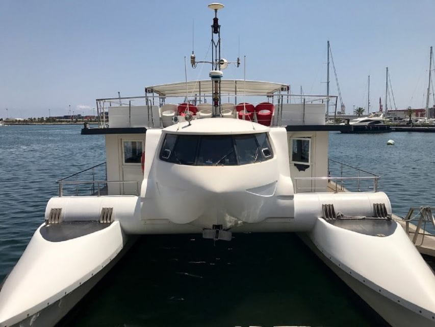 Valencia: Catamaran Cruise, Paella Lunch and Swim Stop - Culinary Experience Onboard