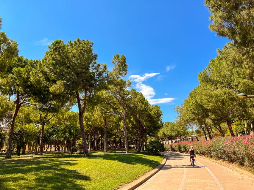 Valencia: City Bike Tour - Things To Know