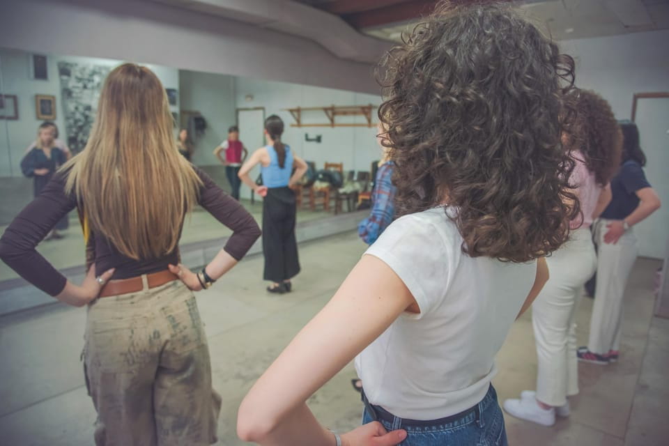 Valencia: Flamenco Class Experience - Learning From Professionals