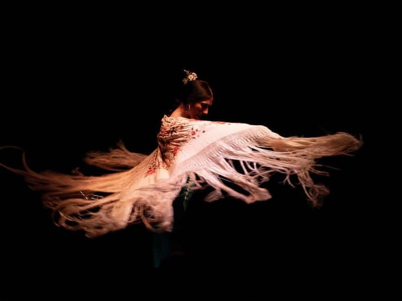 Valencia: Flamenco Show at La Reina - Key points / Takeaways