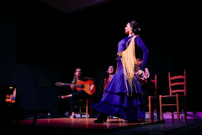 Valencia Flamenco Show Tablao La Reina - Who Will Appreciate This Flamenco Show?