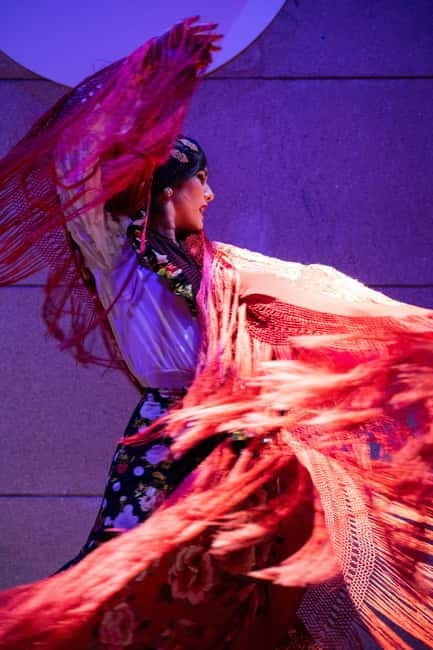 Valencia: La Linterna Flamenco Show - Key Points / Takeaways