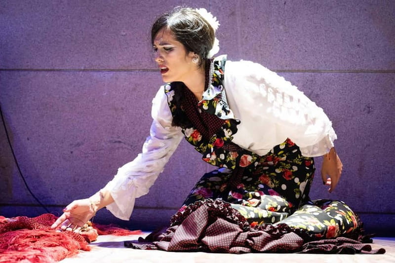 Valencia: La Reina Flamenco Show - Discovering Flamenco in the Heart of Valencia