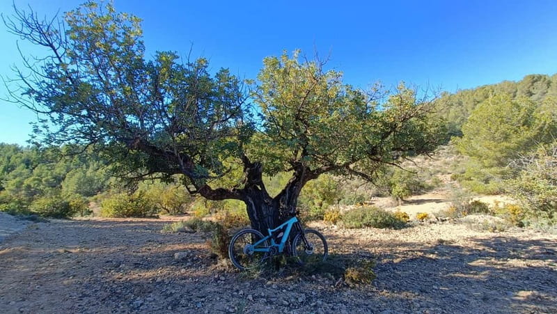 Valencia: Mountain E-Bike Tour + Transfers + Drone Footage - What’s Included and What You Should Bring