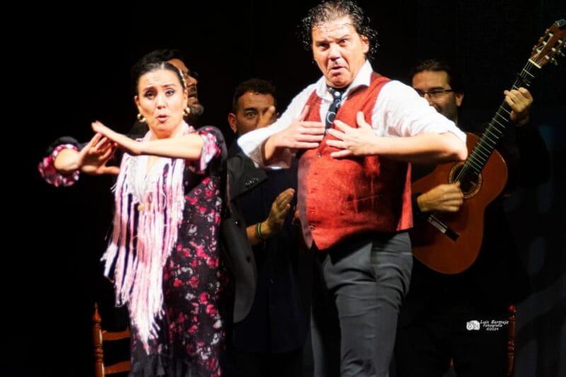 Valencia: New Flamenco Show in the Most Emblematic Theater of the City - Key Points / Takeaways