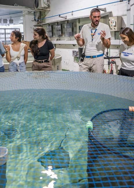 Valencia Oceanogràfic Entry with Backstage tour in Spanish - Practical Details & Tips